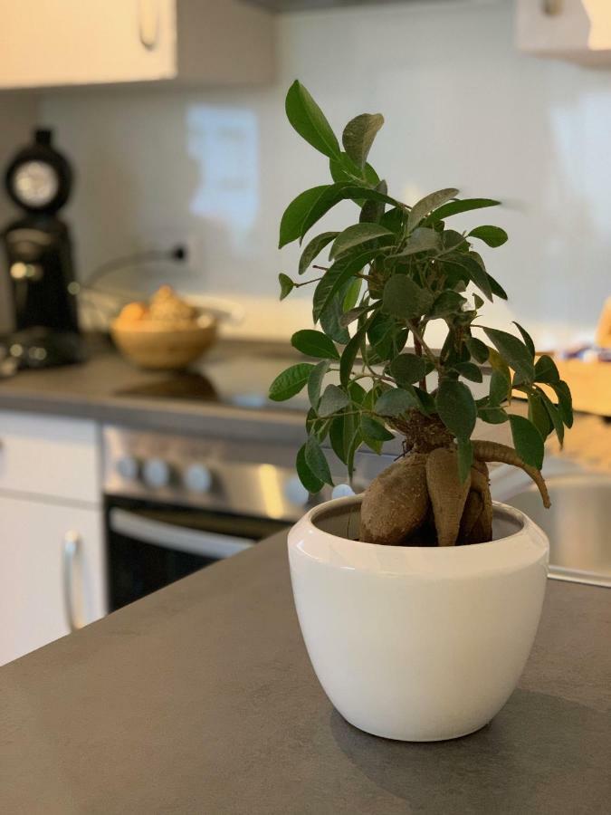 Apartment Koeln Ensen Экстерьер фото