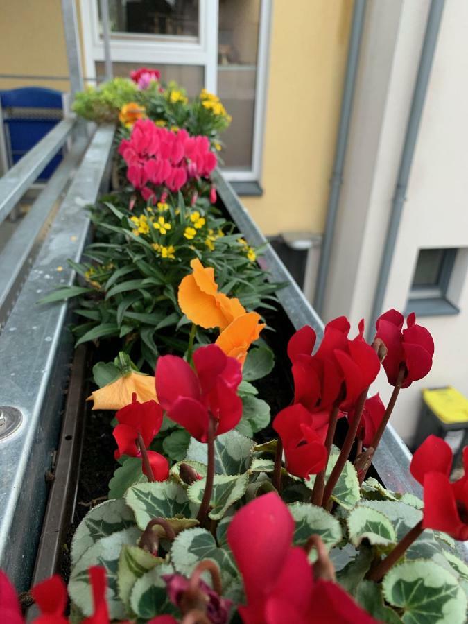 Apartment Koeln Ensen Экстерьер фото